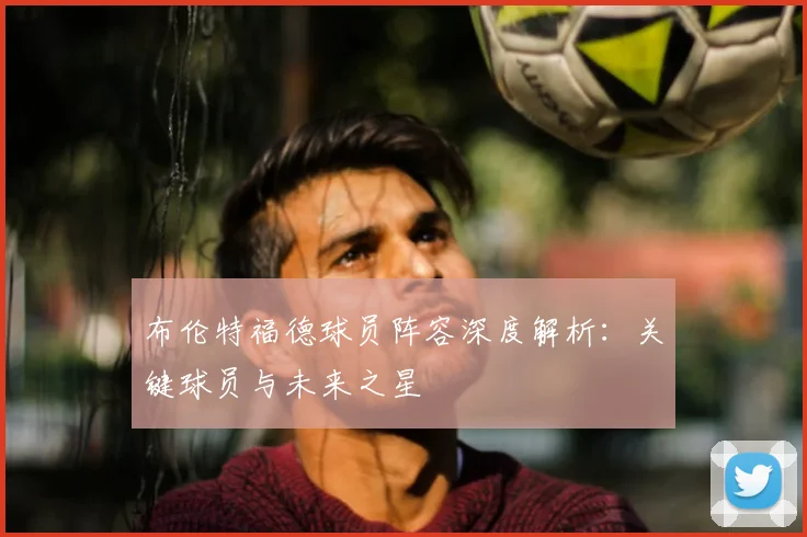 布伦特福德球员阵容深度解析：关键球员与未来之星