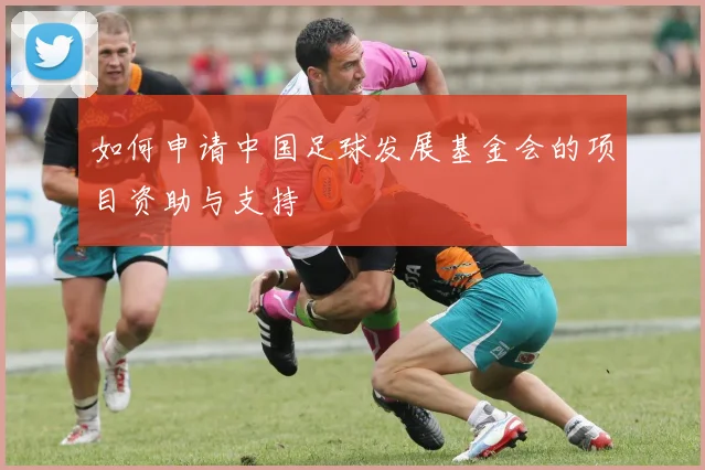 如何申请中国足球发展基金会的项目资助与支持