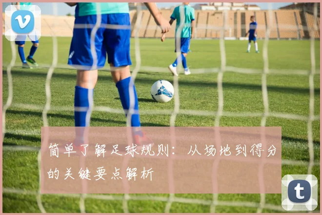 简单了解足球规则：从场地到得分的关键要点解析